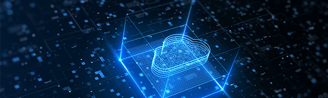 某软件公司IPFS存储项目